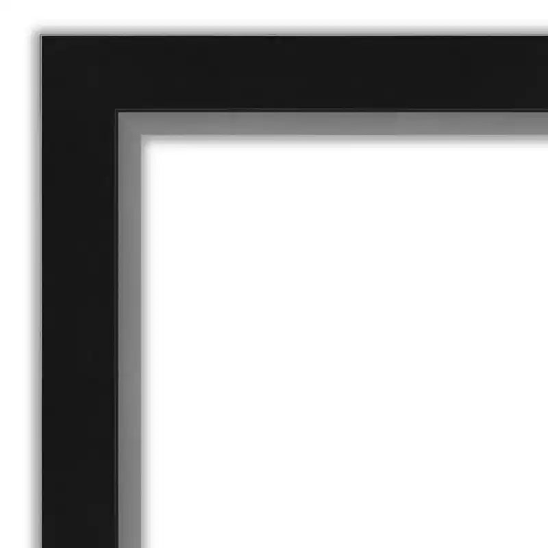Miroir mural et de porte pleine longueur de 17" x 51" avec cadre noir/argenté étroit